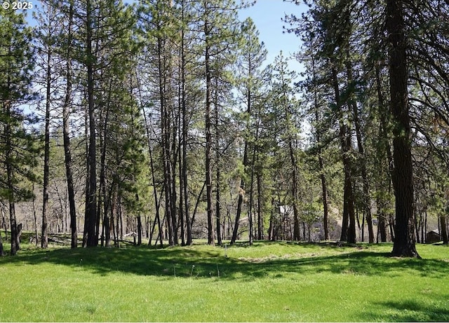 932 Zelinski Rd, Goldendale, WA 98620 - view of yard with a view of trees