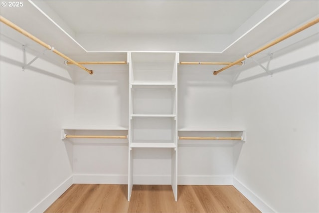 spacious closet with hardwood / wood-style floors