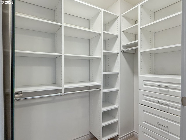 view of spacious closet