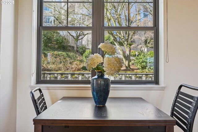 dining space with plenty of natural light