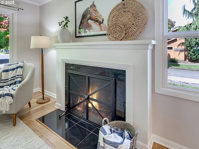 detailed view of baseboards, ornamental molding, and a fireplace with flush hearth