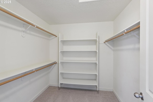 spacious closet with light carpet