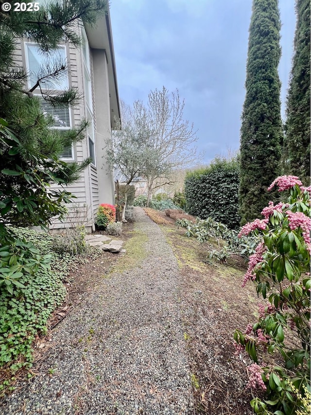 view of yard with driveway