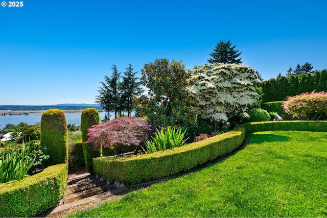 6413 Buena Vista Dr, Vancouver, WA 98661 - view of green lawn featuring a water view
