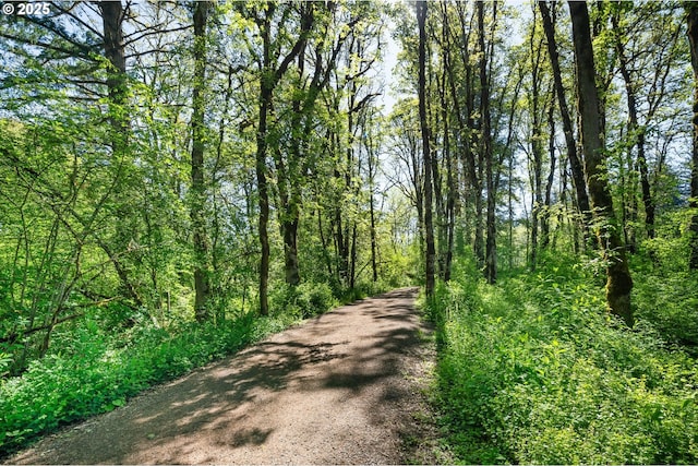 view of street featuring a wooded view