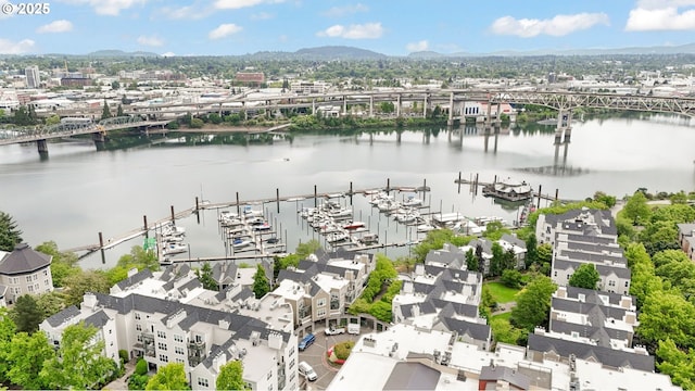 1710 S Harbor Way Unit 201, Portland, OR 97201 - aerial view of a notable bridge and a water and mountain view