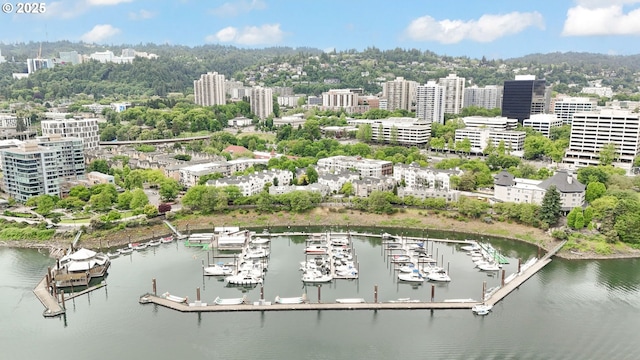 1710 S Harbor Way Unit 201, Portland, OR 97201 - bird's eye view of a marina and a nearby body of water