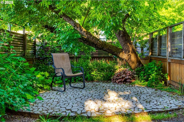 1327 Grant St, Eugene, OR 97402 - fenced backyard with a patio
