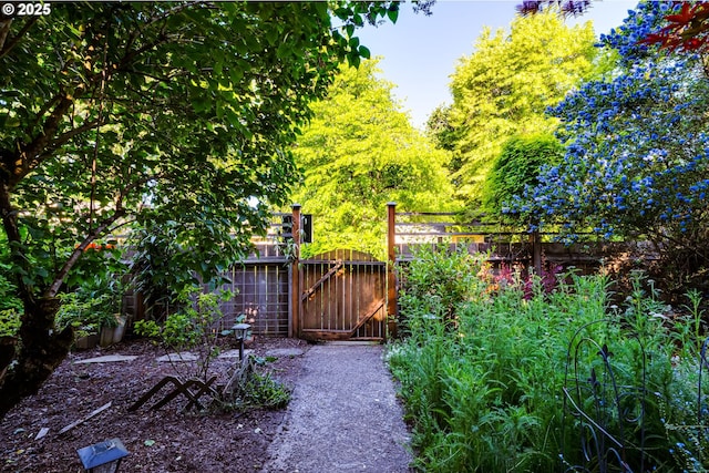 1327 Grant St, Eugene, OR 97402 - view of yard with a gate