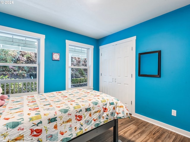 27915 NE Thompson Cir, Yacolt, WA 98675 - bedroom with multiple windows, wood finished floors, and a closet