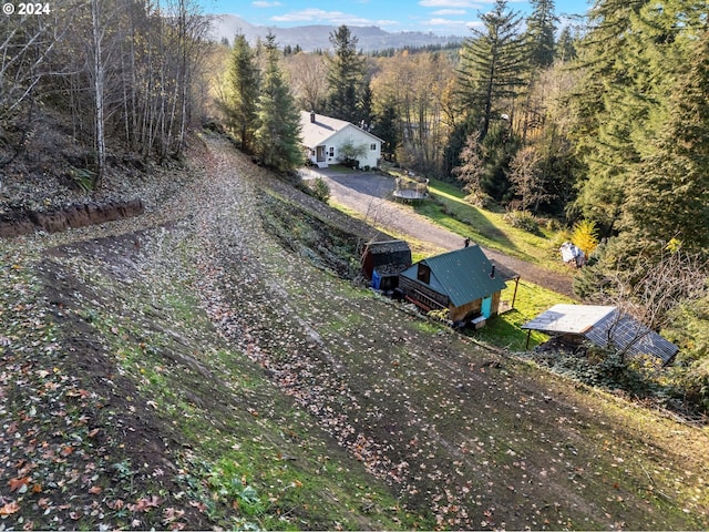 27915 NE Thompson Cir, Yacolt, WA 98675 - view of subject property with a heavily wooded area