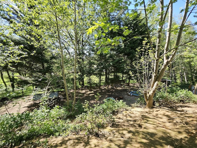 27915 NE Thompson Cir, Yacolt, WA 98675 - view of nature