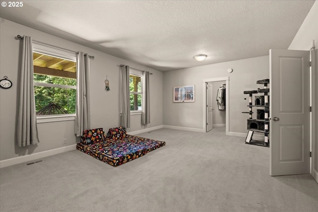 12521 NW Jackson Quarry Rd, Hillsboro, OR 97124 - sitting room featuring a textured ceiling, baseboards, light carpet, and plenty of natural light