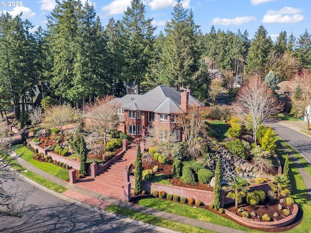 aerial view