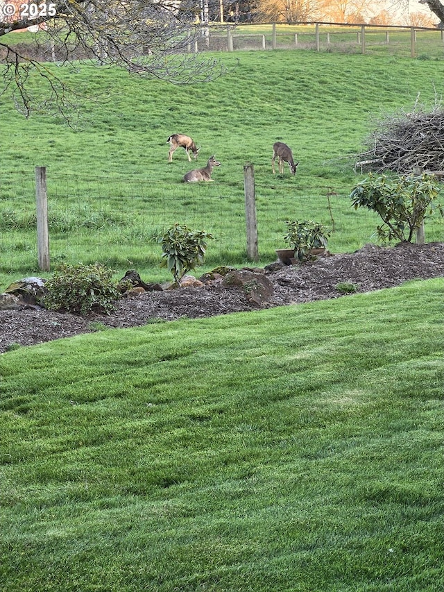 view of yard with a rural view