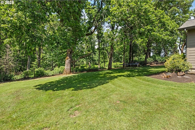 5583 54th Ct, Salem, OR 97317 - view of green lawn with a trampoline
