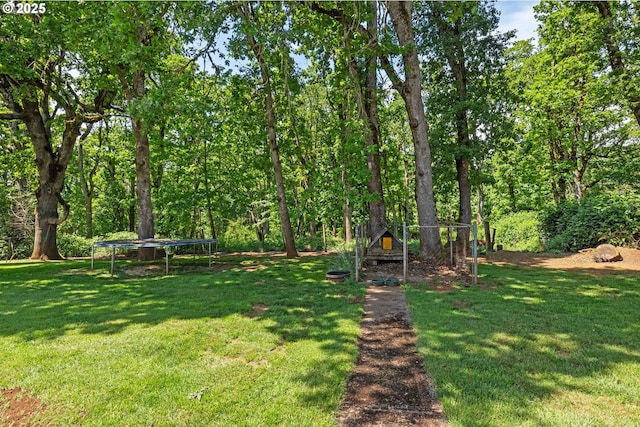5583 54th Ct, Salem, OR 97317 - view of green lawn featuring a trampoline