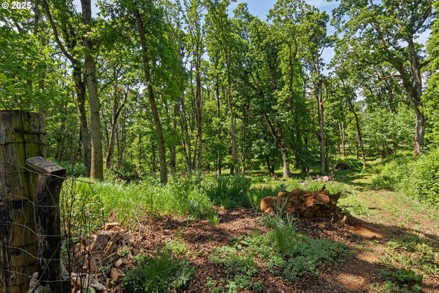 5583 54th Ct, Salem, OR 97317 - view of local wilderness
