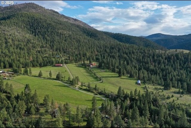 view of mountain background featuring a heavily wooded area