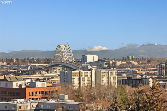 property's view of city with a mountain view