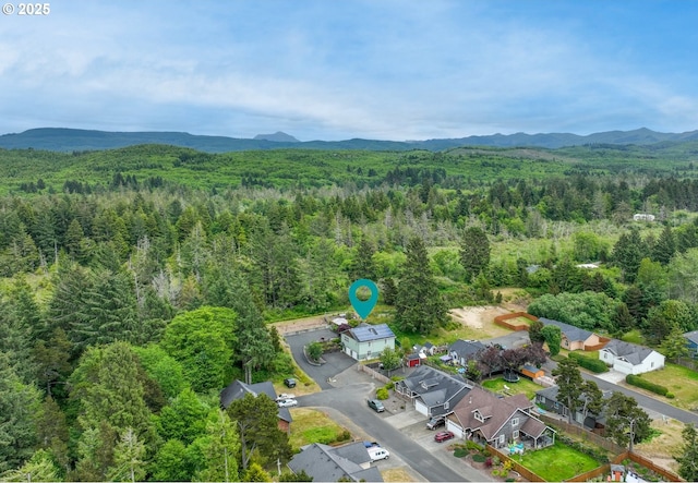 1395 Dooley Ln, Gearhart, OR 97138 - aerial overview of property's location with mountains