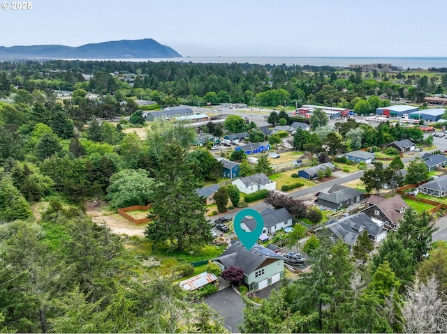 1395 Dooley Ln, Gearhart, OR 97138 - bird's eye view of a mountain backdrop