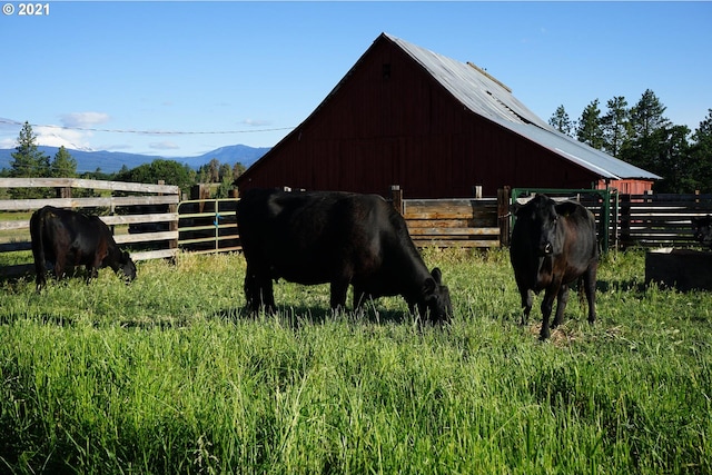 view of horse barn