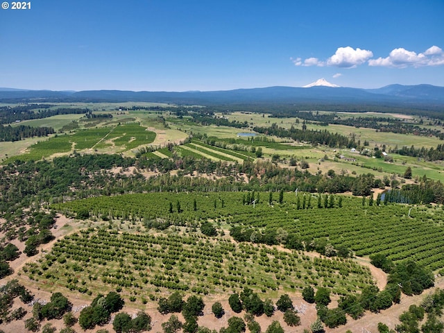 aerial view featuring a mountain view and a rural view