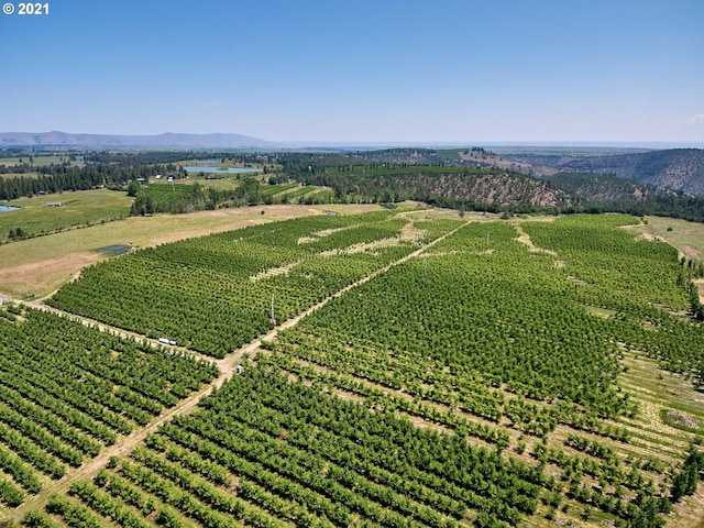 bird's eye view featuring a rural view