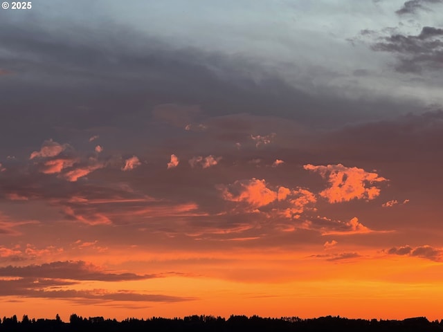 view of nature at dusk