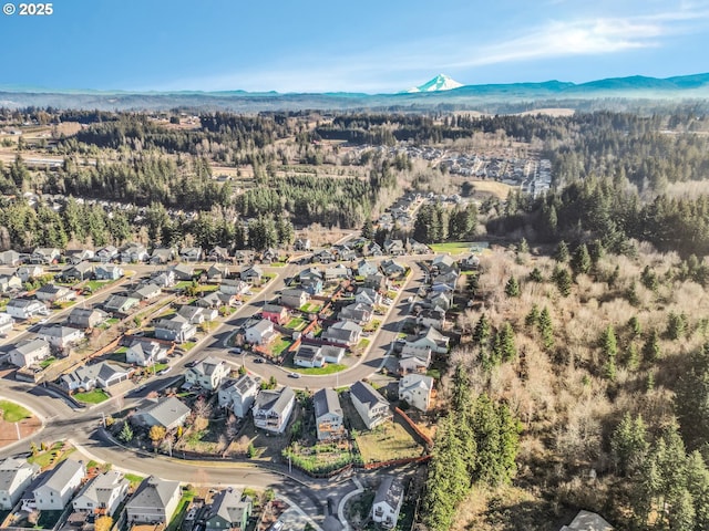 bird's eye view with a mountain view