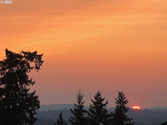 view of nature at dusk