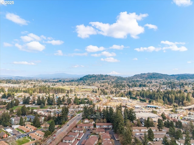 birds eye view of property featuring a mountain view