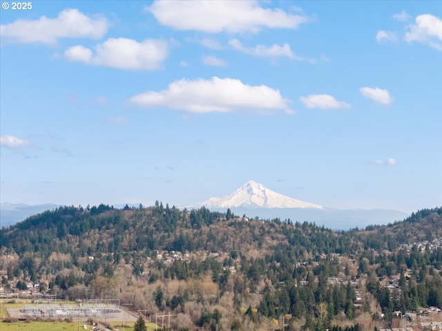 property view of mountains with a forest view