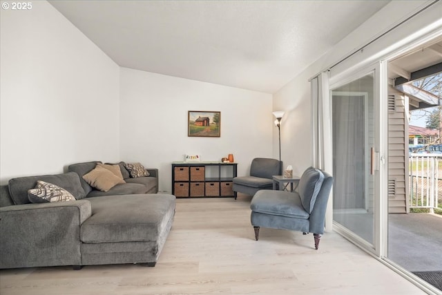 living room featuring vaulted ceiling, a healthy amount of sunlight, and light wood finished floors