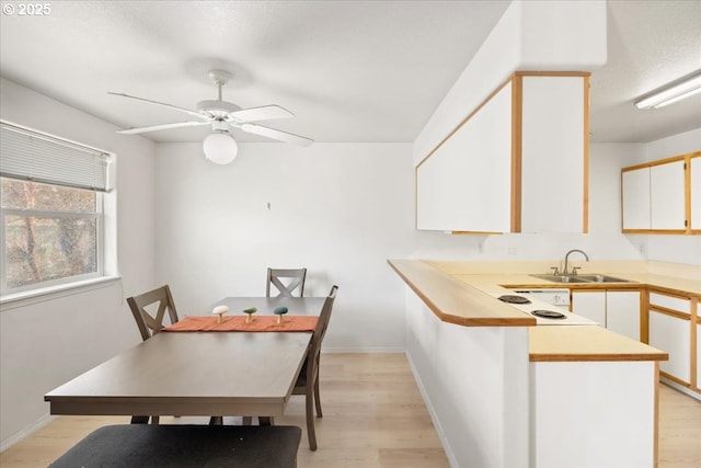 dining area with light wood finished floors, ceiling fan, and baseboards