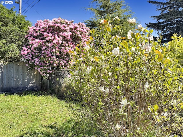 543 Linda Ln, Brookings, OR 97415 - view of yard