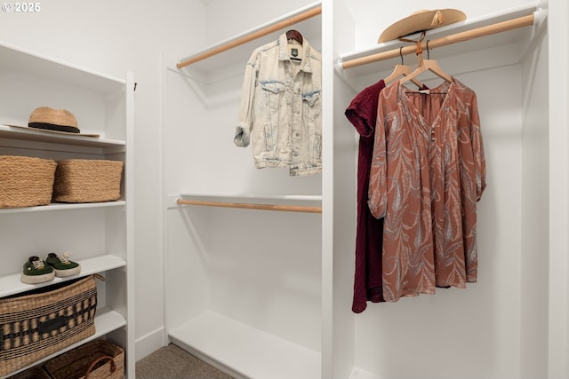 view of spacious closet