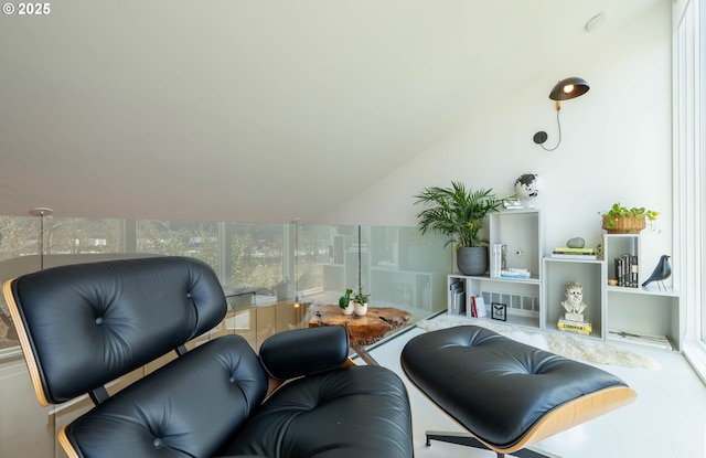 living area featuring vaulted ceiling
