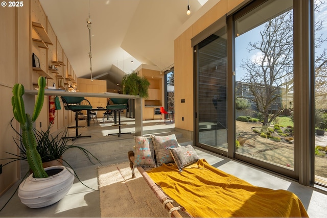 interior space featuring vaulted ceiling