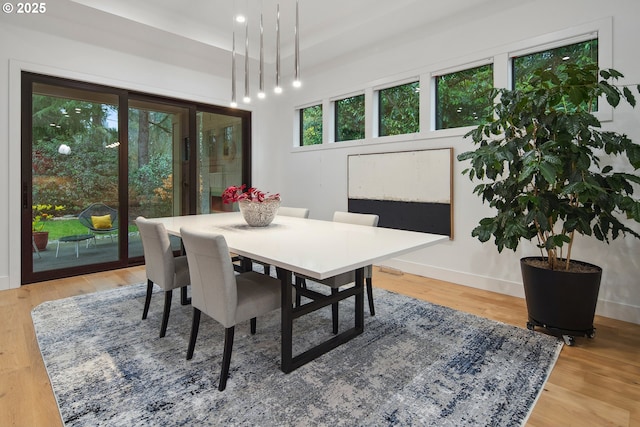 dining space with hardwood / wood-style flooring