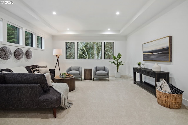 carpeted living room with a wealth of natural light and a tray ceiling