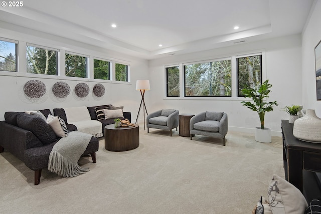 living room with light colored carpet and a raised ceiling