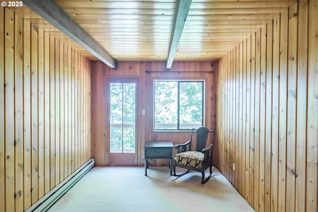 182 Holloway Hts, Brownsville, OR 97327 - living area featuring a baseboard heating unit, carpet floors, wood walls, and wooden ceiling