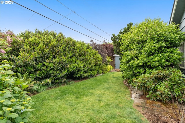 view of grassy yard