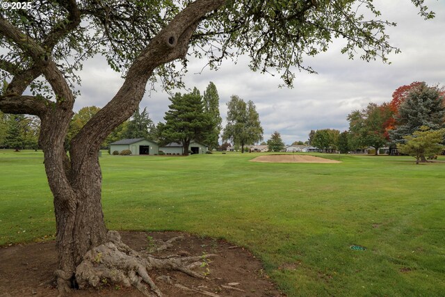 view of community featuring a yard