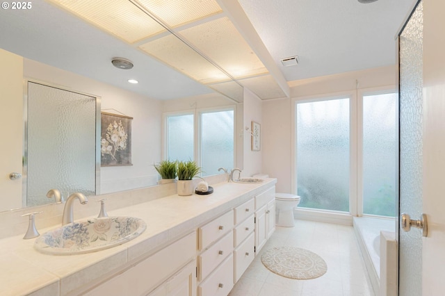 bathroom featuring a bathing tub, vanity, toilet, and a wealth of natural light