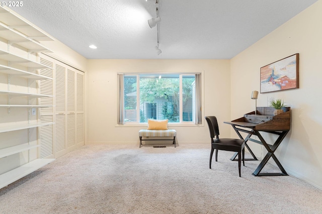 office area with a textured ceiling, carpet floors, and rail lighting