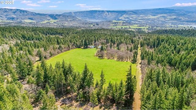 birds eye view of property featuring a mountain view