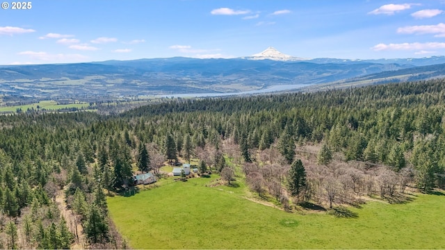 drone / aerial view with a mountain view